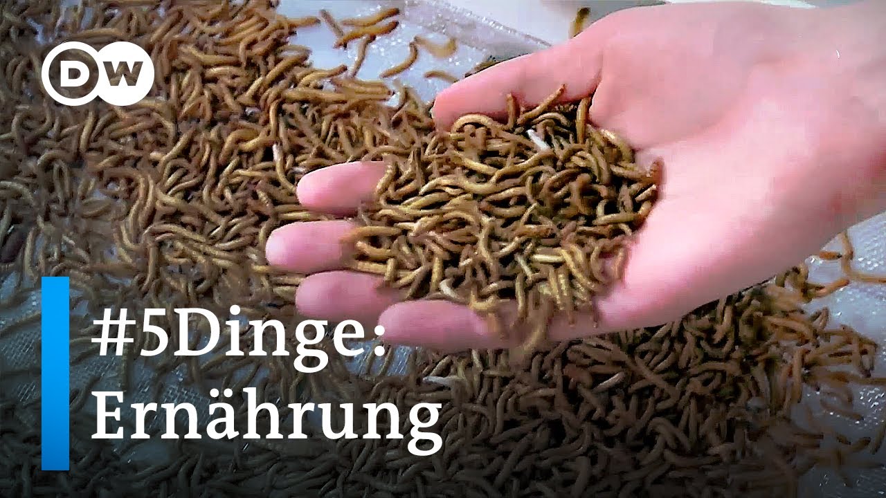 Wie wir uns in Zukunft ernähren | #5Dinge
