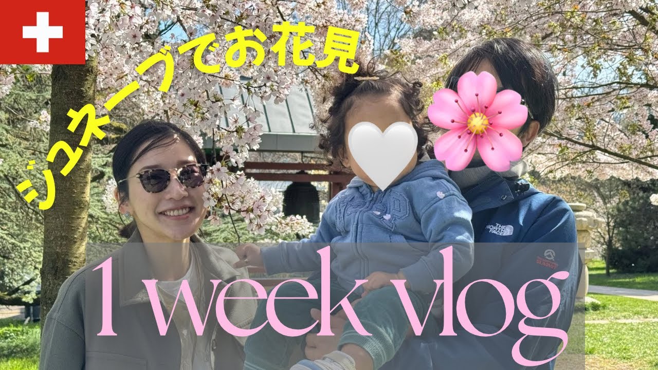 【1week vlog】ジュネーブ在住専業主婦のリアルな1週間🌸インター見学/お得チケット購入/託児所サービス/チョコイベント/フランスのスーパーで買い物/ひたすら公園遊び🛝