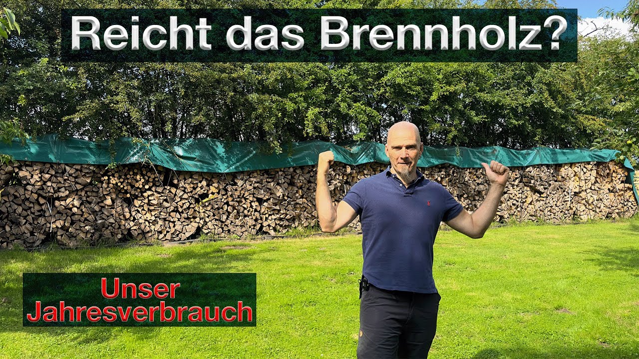 Jahresverbrauch Brennholz, Planung Heizperiode 2023/24, reicht das? Kostenvergleich zu &Ouml;lheizung