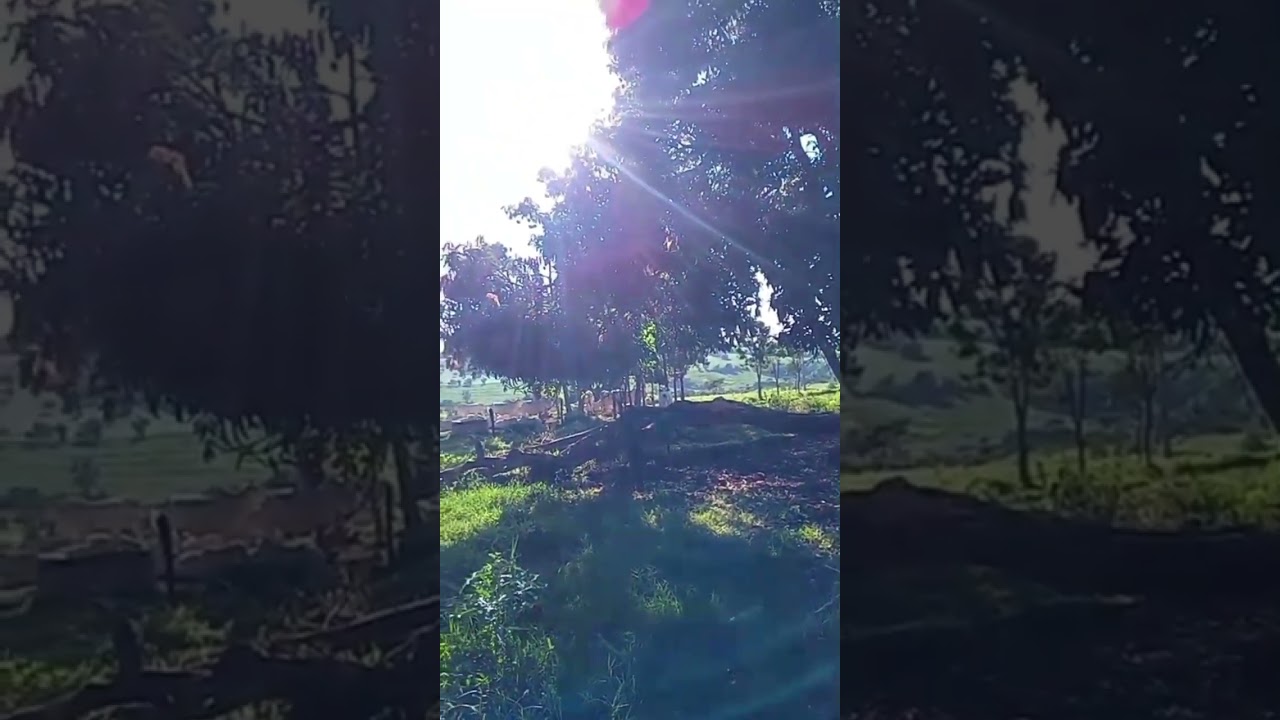 Deus está comigo o tempo todo obg meu Deus 🙏