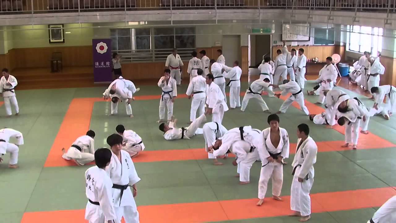 STAGE TECHNIQUE 2014 au KODOKAN