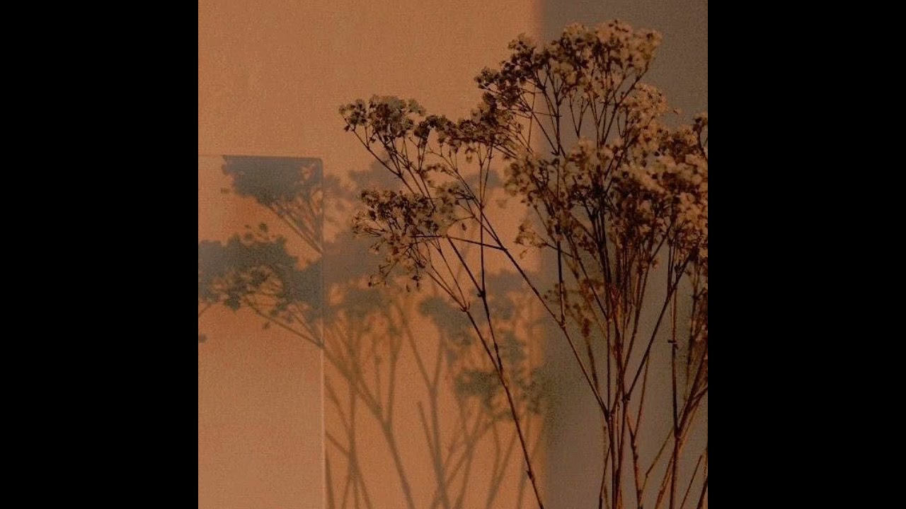 100 bad days [] ajr [] slowed