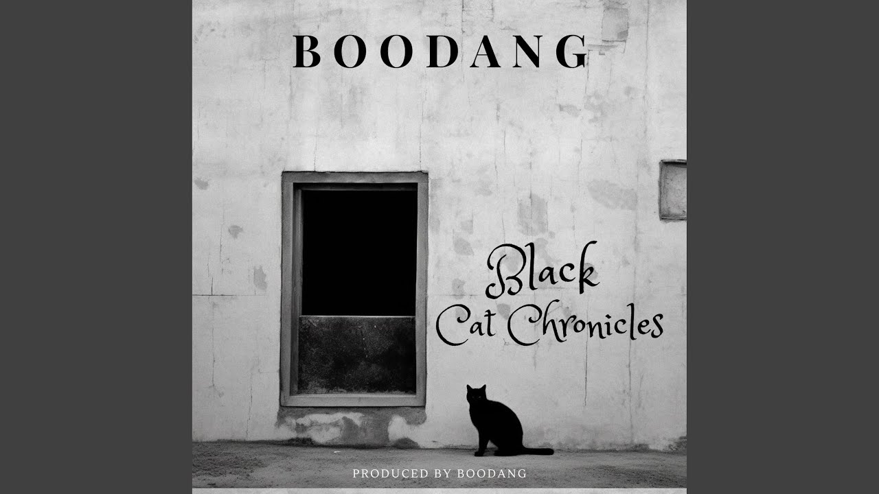 BLACK CAT CHRONICLES