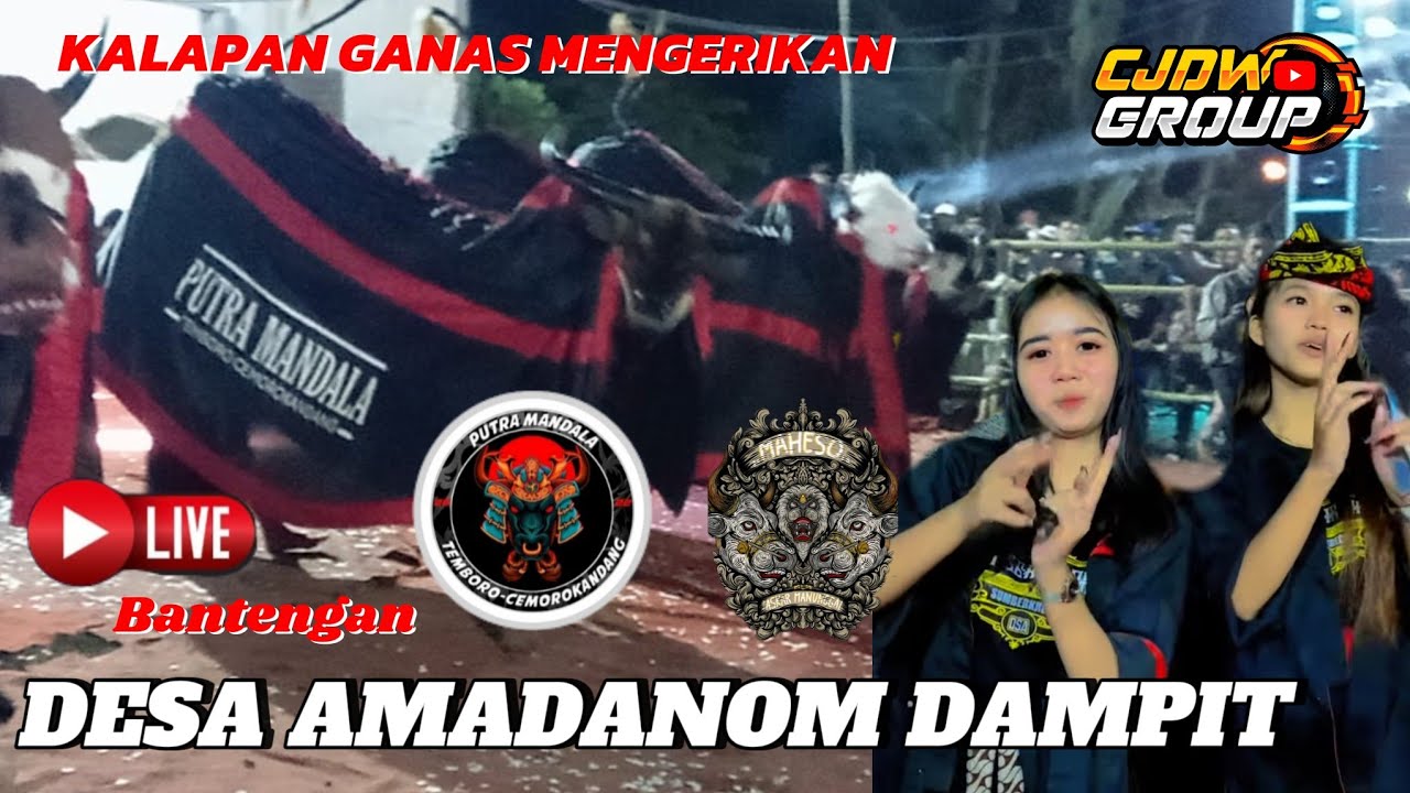 🔴LIVE PUTRA MANDALA ‼️ DESA AMADANOM KECAMATAN DAMPIT MALANG ENERGI TAK TERKALAHKAN