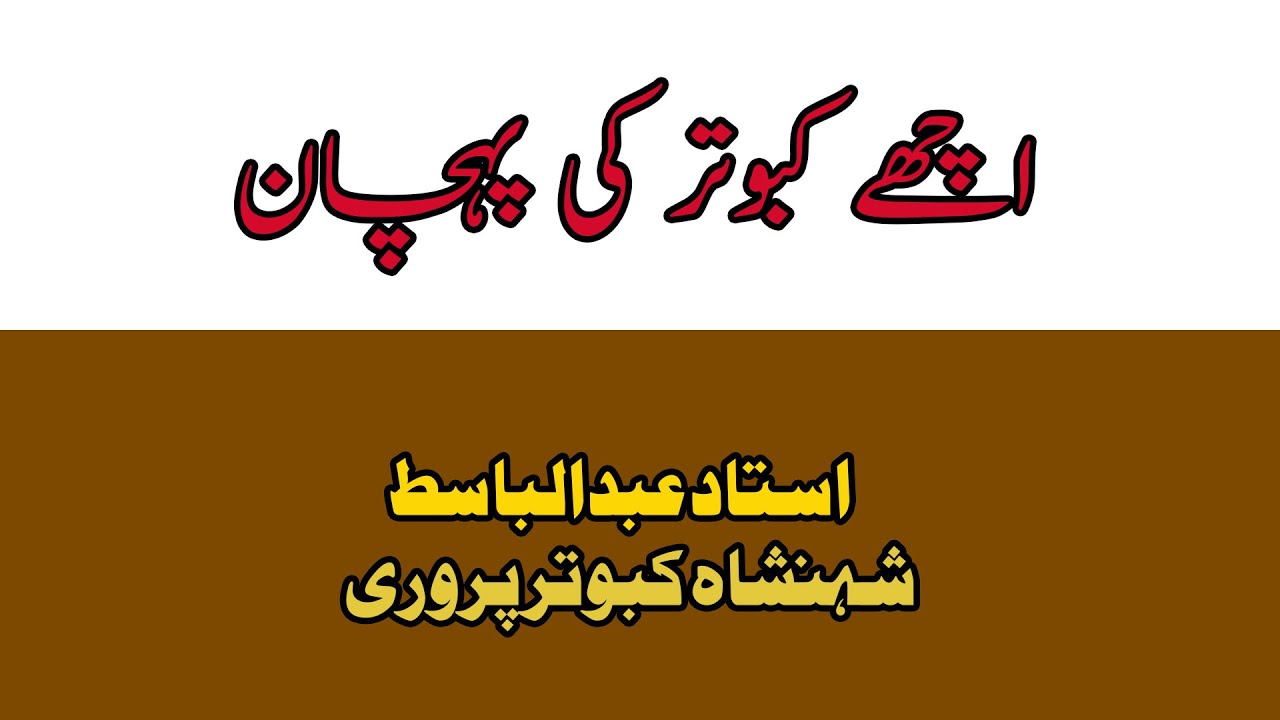 achay kabootar ki pehchan by Ustad Abdul Basit (Shenshah e Kabutar parwari)