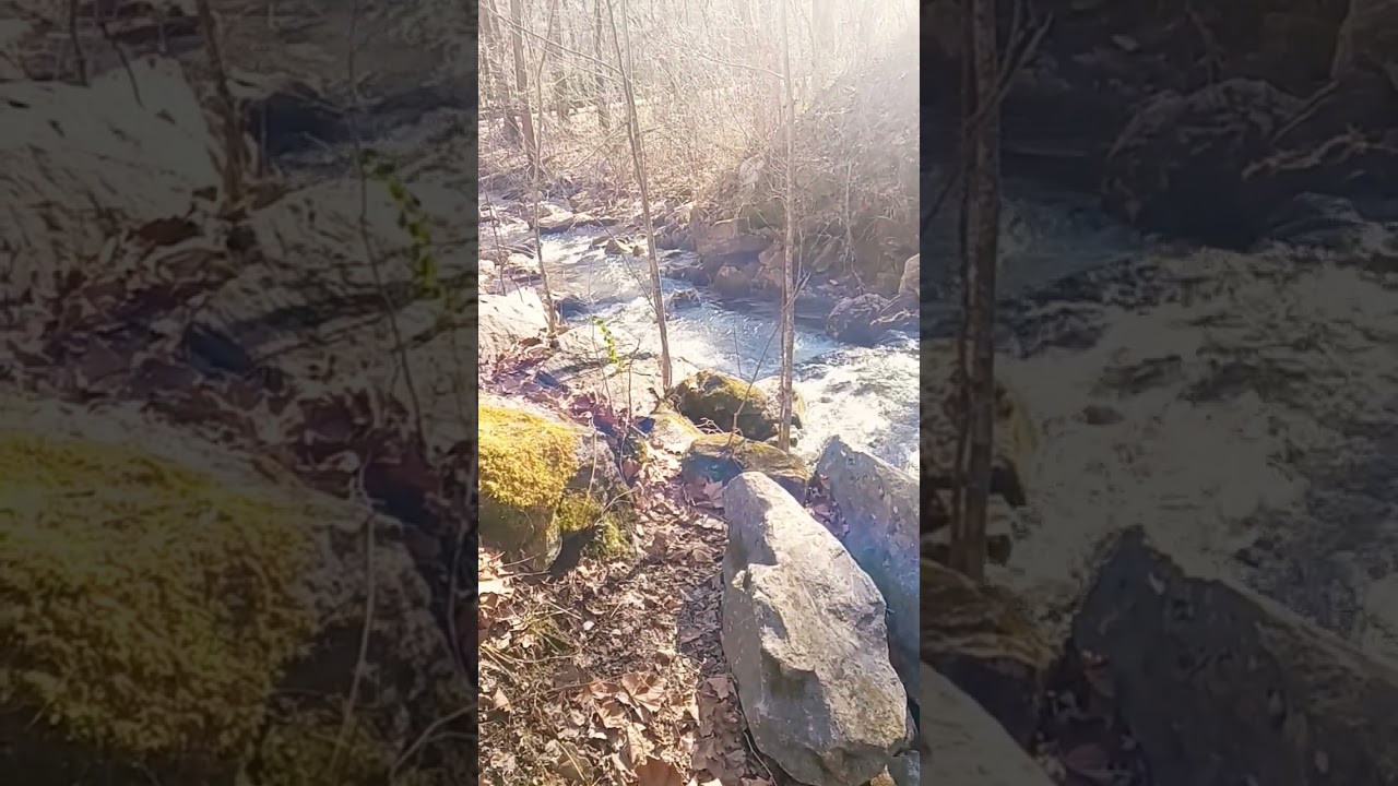 Refreshing Riverside Tour in the Mountains (Water Ambience)