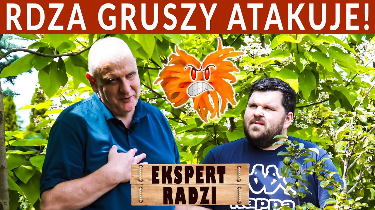 Ekspert radzi, jak walczyć z 