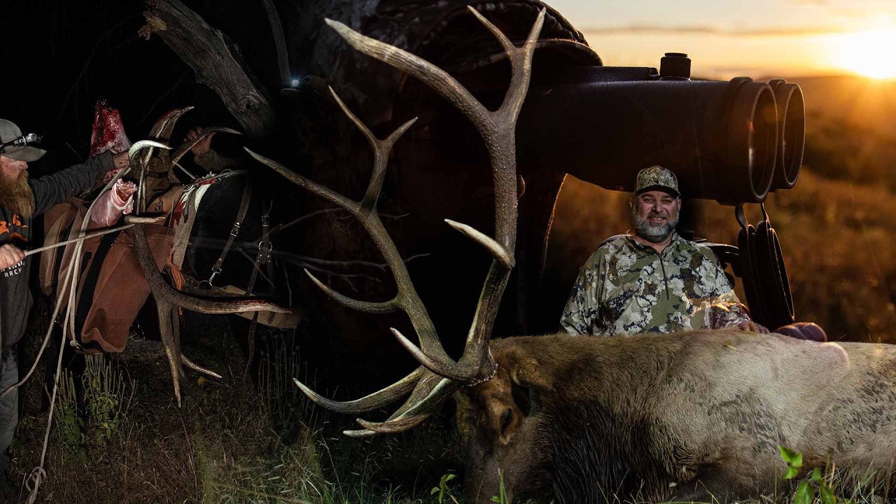 Arizona Early Rifle Elk - A Zero Outfitter Fees Hunt