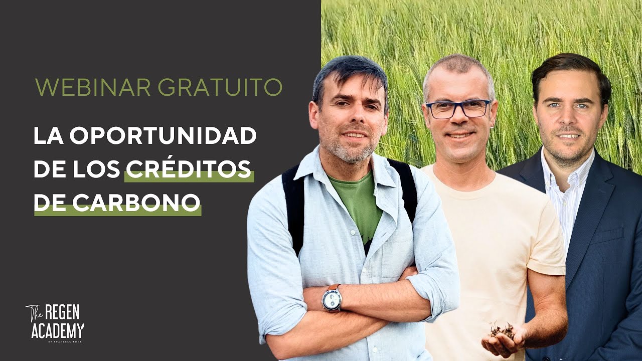 Webinar 