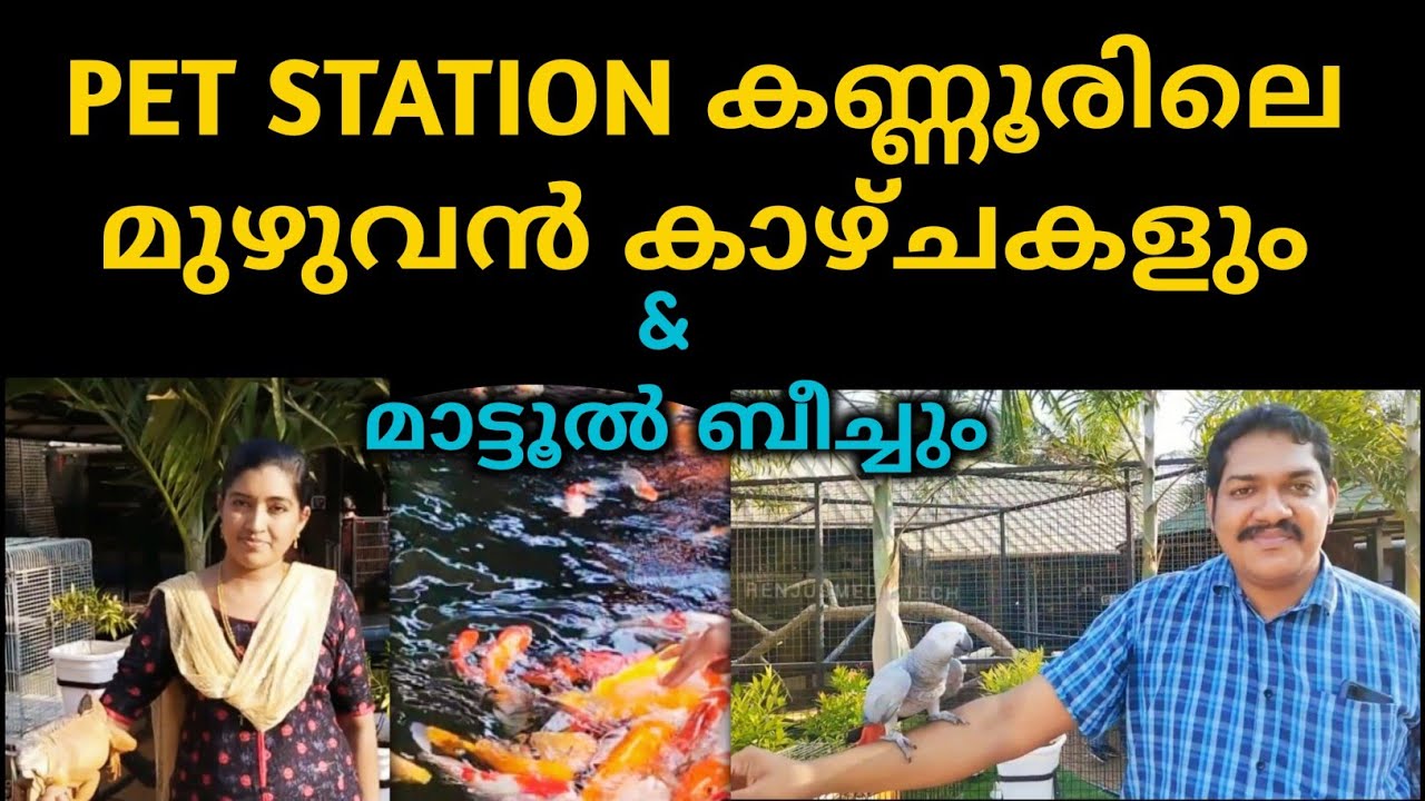 Pet Station Kannur full video | Beautiful Matool Beach | Renjusmediatech @Petstationkannur