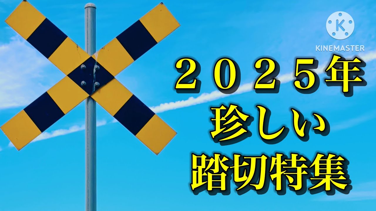 【踏切特集】２０２５年に撮影した珍しい踏切