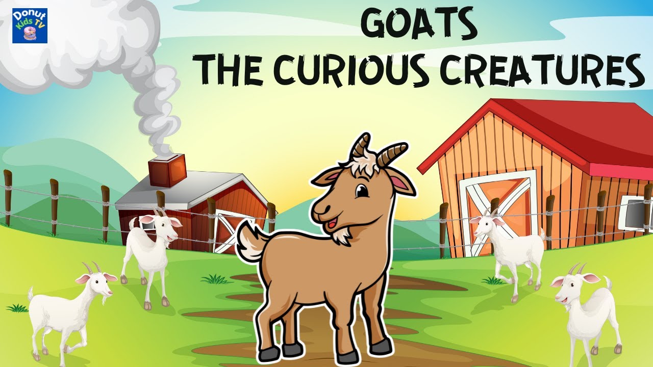 ALL ABOUT GOATS FOR KIDS | GOATS  FOR CHILDREN | GOATS -  THE CURIOUS CREATURES | DONUT KIDS TV