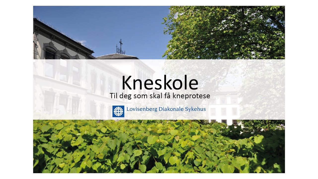 LDS kneskole