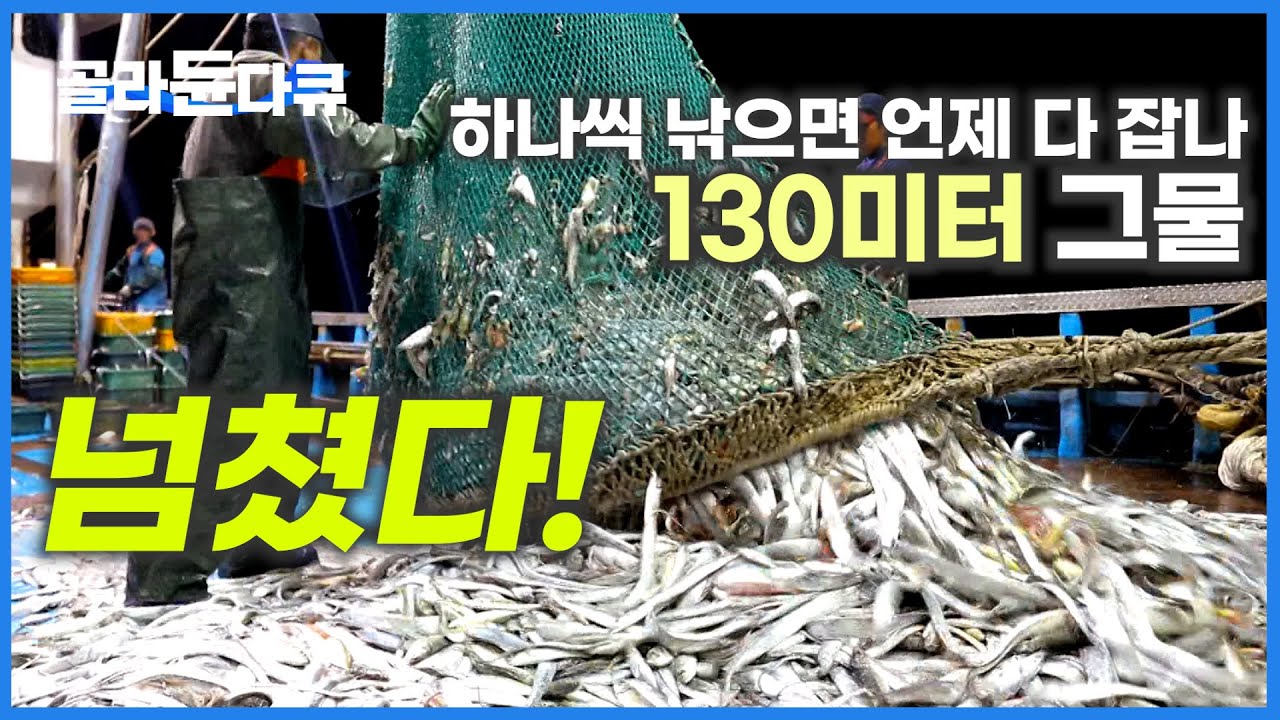 '그물 길이만 아파트 40층' 바다에서 냅다 퍼올리는 갈치! 갑판에 발 디딜 곳이 없습니다│만선 먹갈치잡이│바닷가 사람들│#골라듄다큐