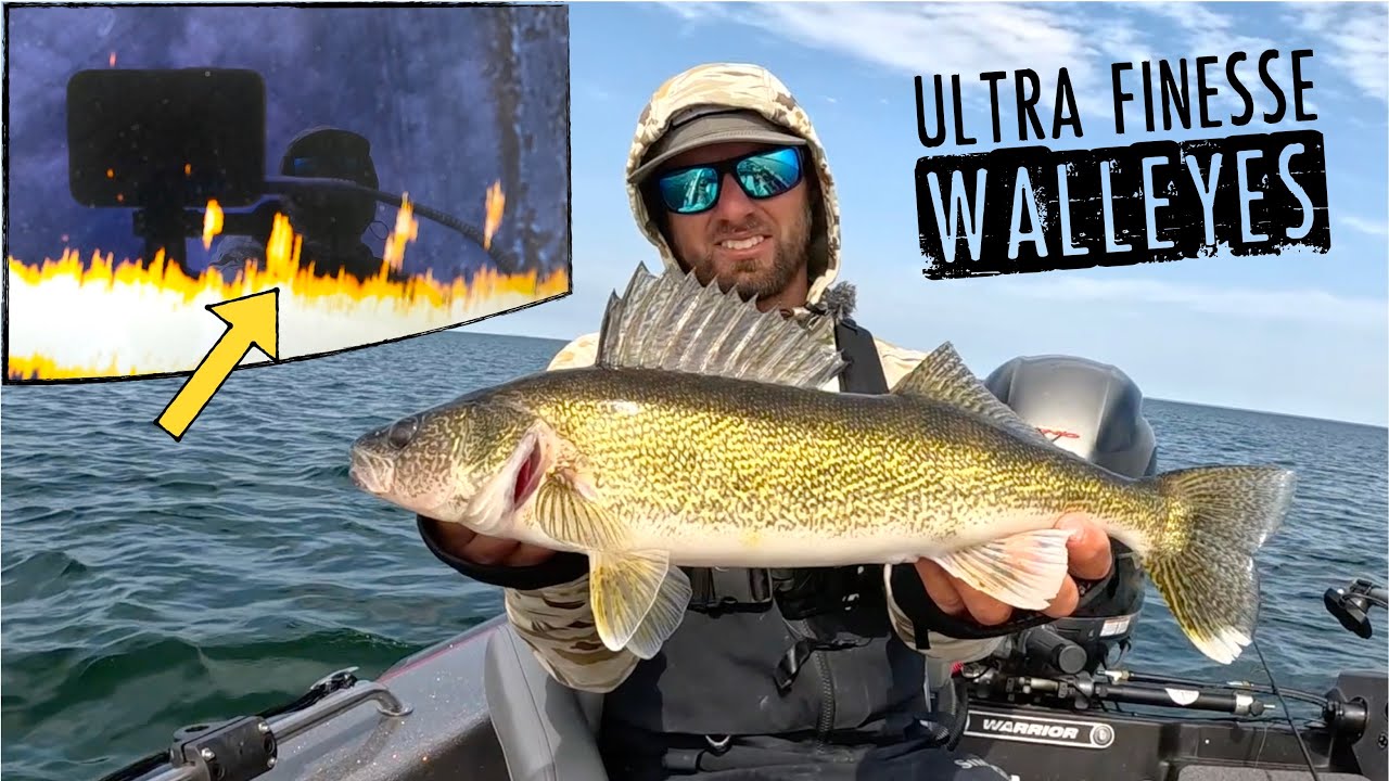 How to DROP-SHOT Finicky Walleyes like a PRO!