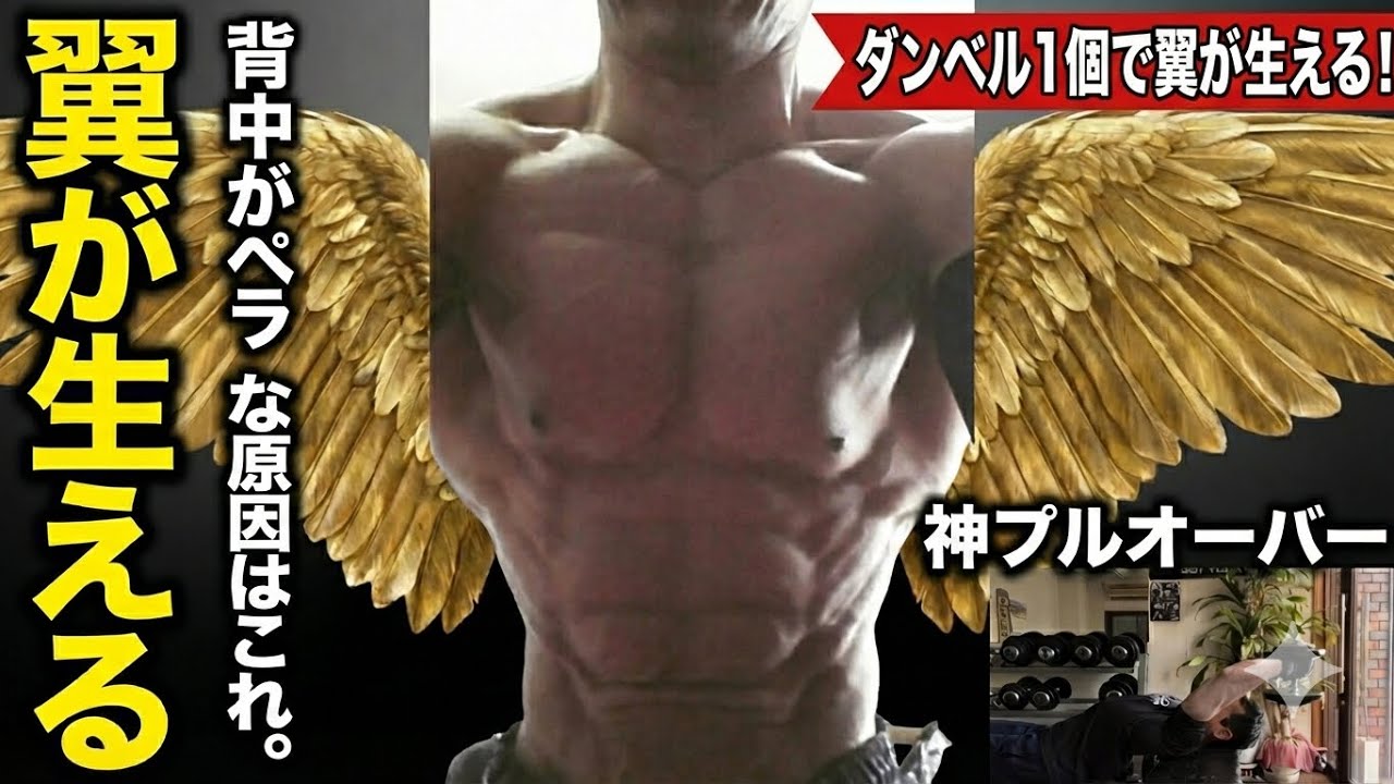 背中がペラペラな原因はこれ。ダンベル1個で翼が生える「神プルオーバー」
