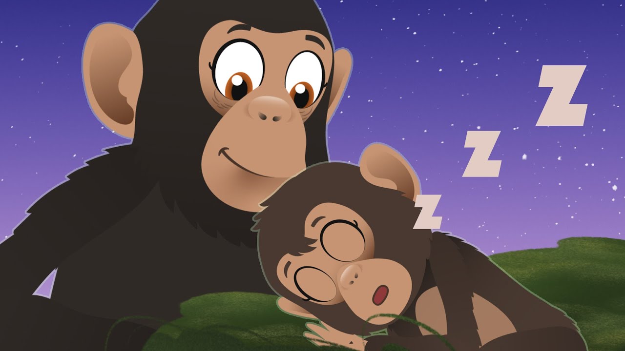 Sleep Tight Lullaby | Dr Poppy On Safari | Animals For Kids | Sleepy Bedtime Songs
