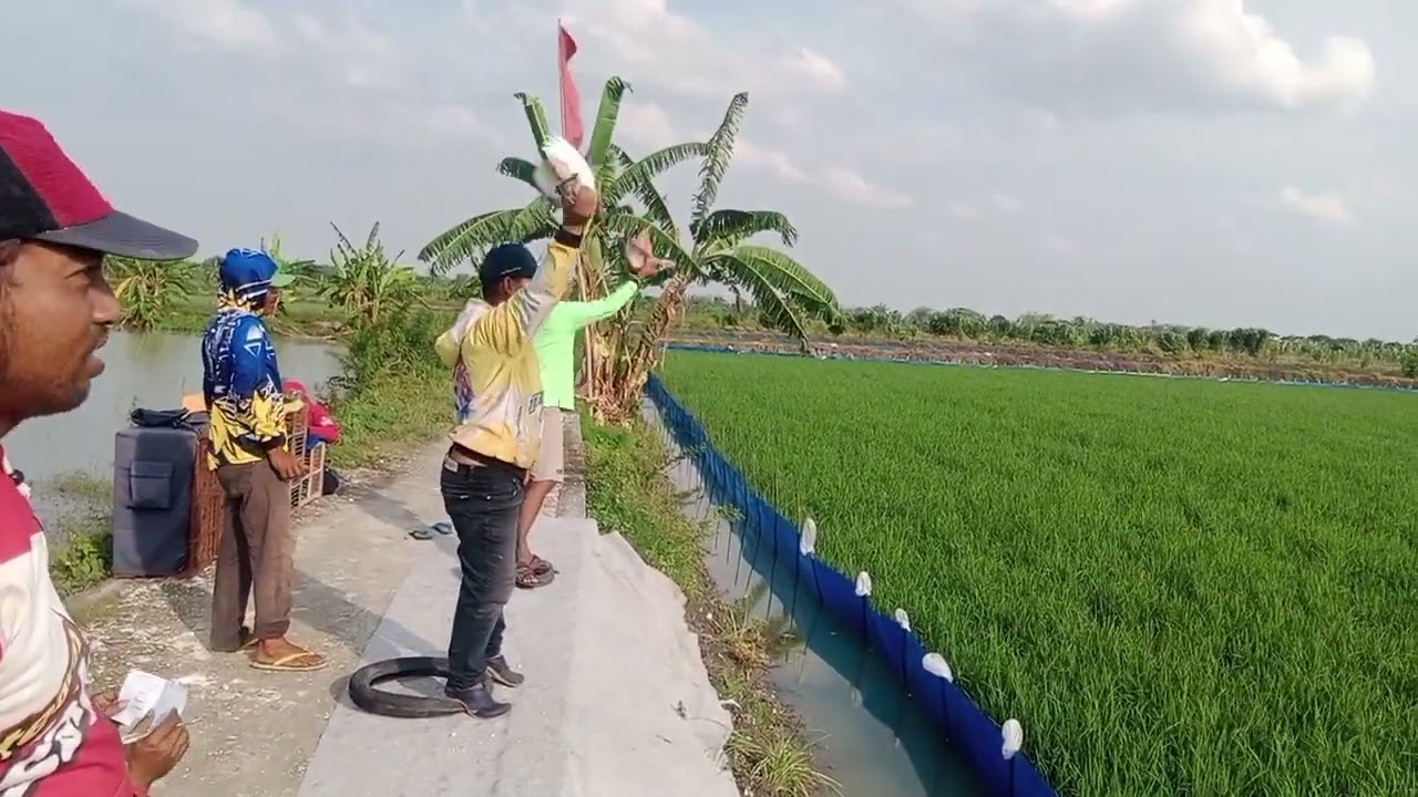 Lomba hari jumat lp. Sinan 500 M. juara baru RB team langsung di borong ngeri boooossss