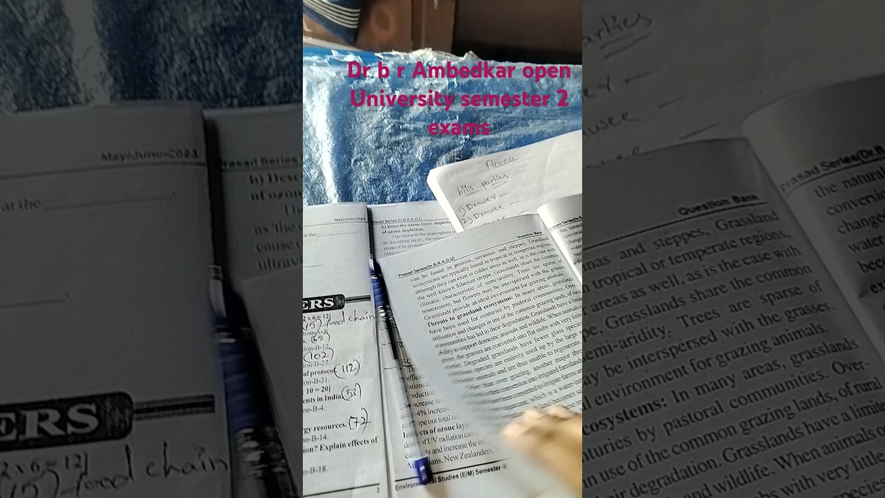 Dr b r Ambedkar open University semester 2 exam 😘