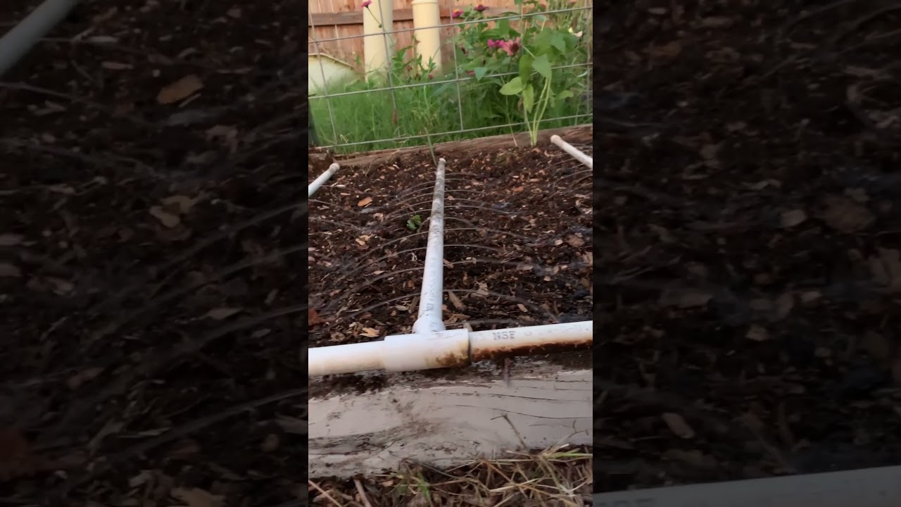 DIY PVC Watering System in Action | Simple Solution for Raised Beds!