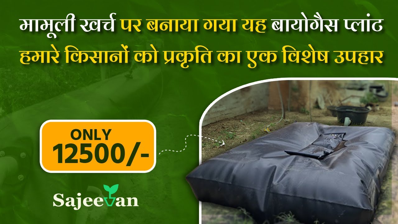 मामूली खर्च पर बनाया गया यह बायोगैस प्लांट | Installation | Sistema Biogas Plant | Sajeevan Life