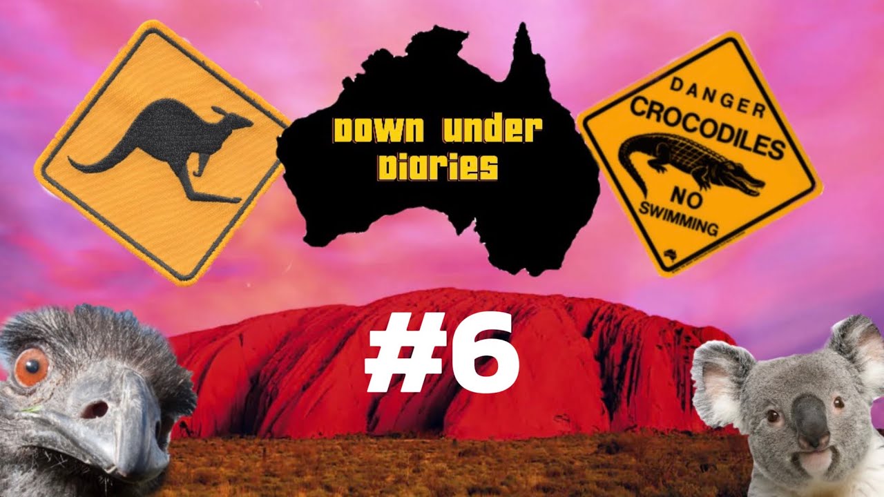 Down Under Diaries | Sunderland Vs Newcastle Wear-Tyne Derby 