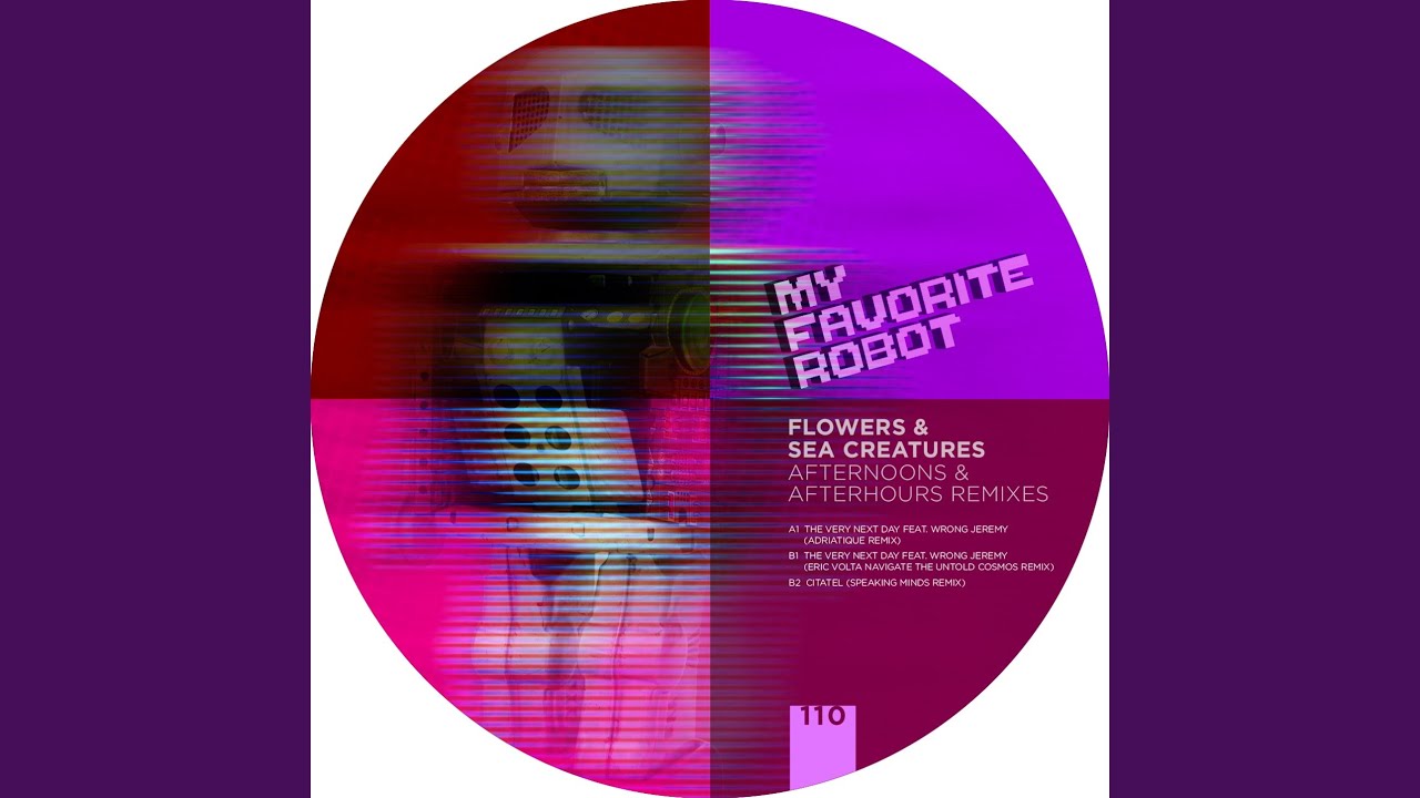 The Very Next Day (Eric Volta's Navigate The Untold Cosmos Remix)