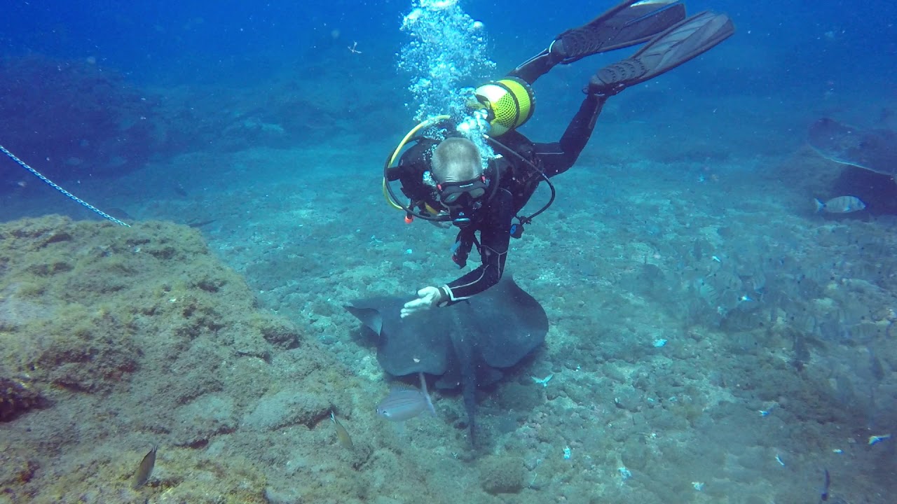 The Stingrays Dive Site in Tenerife | Los Gigantes Diving Centre