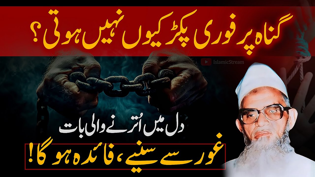🔥 Gunah Par Fori Pakar Kyun Nahi Hoti? | Maulana Muhammad Umar Palanpuri Bayan | Islamic Stream