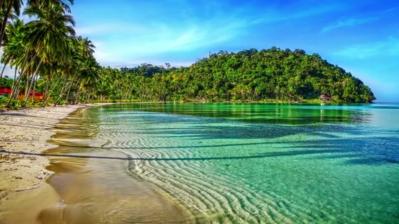 Relaxing day beach video
