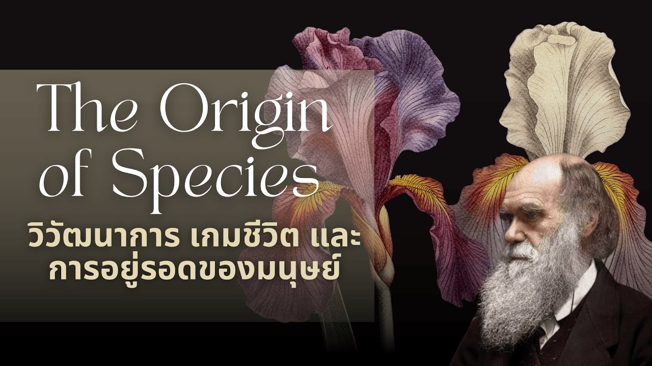The Origin of Species by Charles Darwin | ทฤษฎีวิวัฒนาการของการลงทุนและการอยู่รอด
