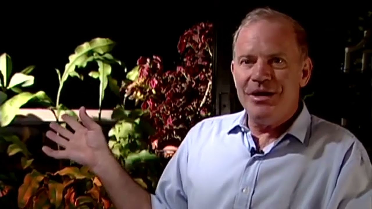 Kary Mullis on Luc Montagnier and HIV