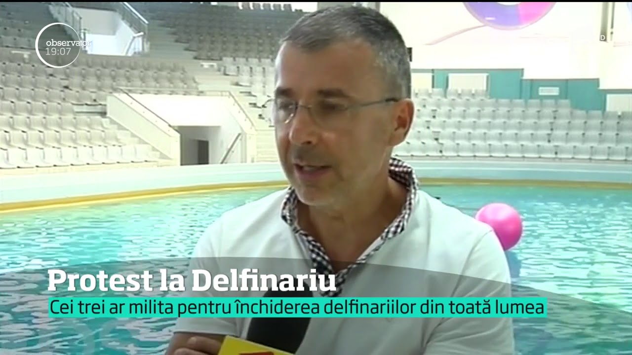 Scandal la delfinariul din Constanţa! Trei activişti au sărit în bazin cu tot cu pancartele prin