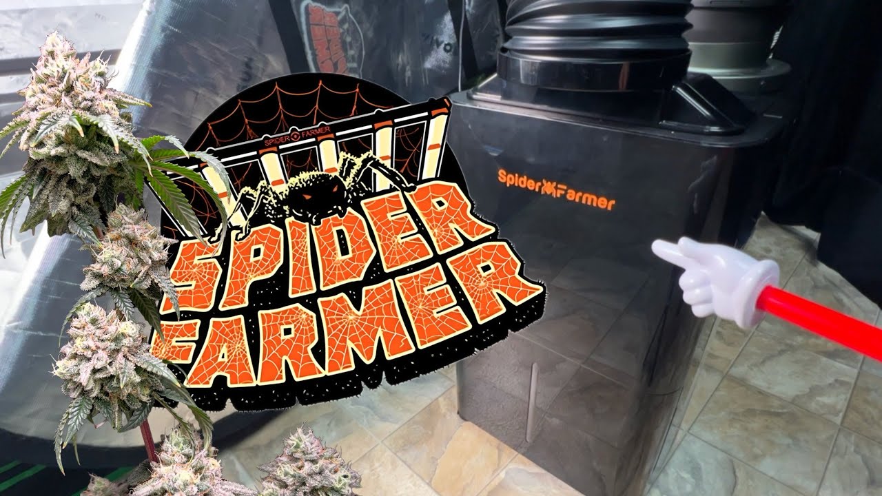 Осушитель воздуха Spider Farmer 32 пинты