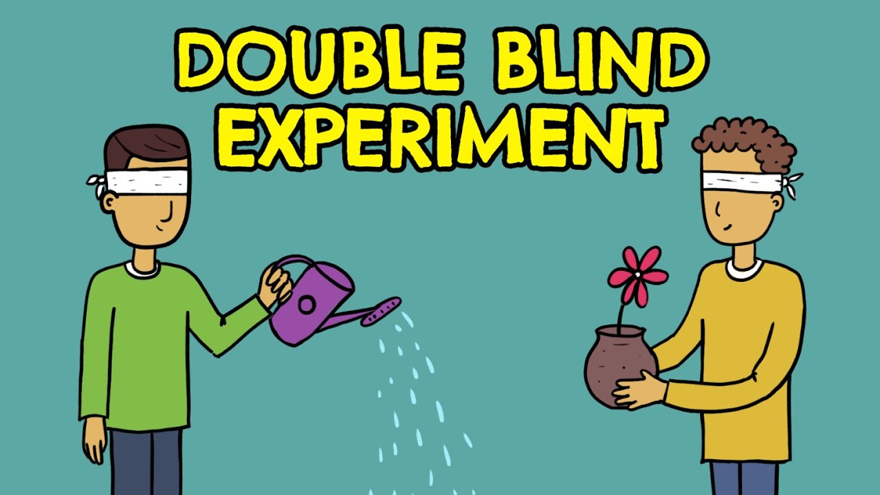 What is a Double Blind Study? (Definition + Examples)
