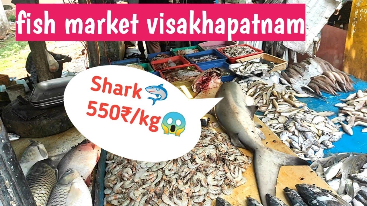 🐟fish meat market visakhapatnam/vizag 😱 🦈 shark fish price in Visakhapatnam 🔥 meat market vizag