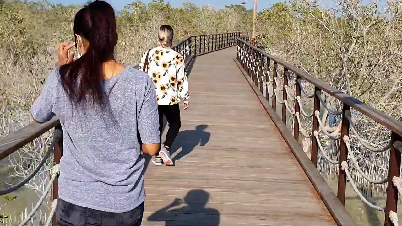 Mangrove Marine National Park - Abu Dhabi - 10 Nov 2020