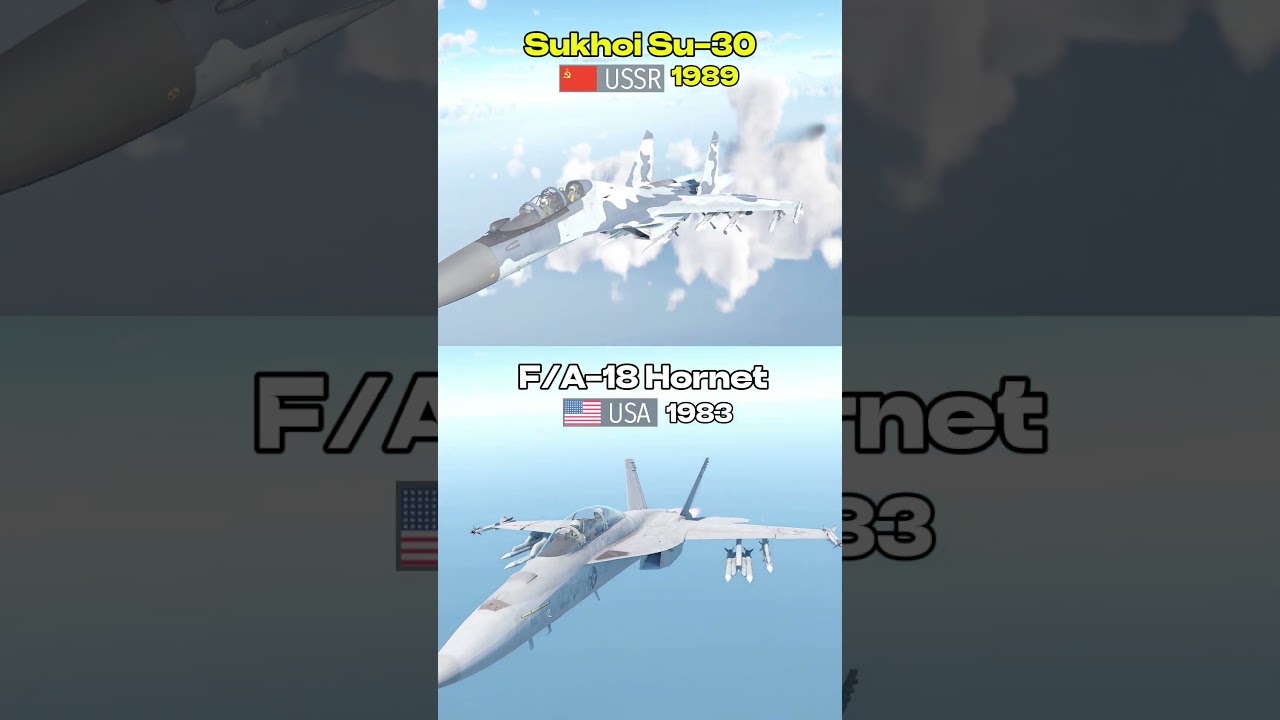 Sukhoi Su-30 vs F-18 Hornet in War Thunder