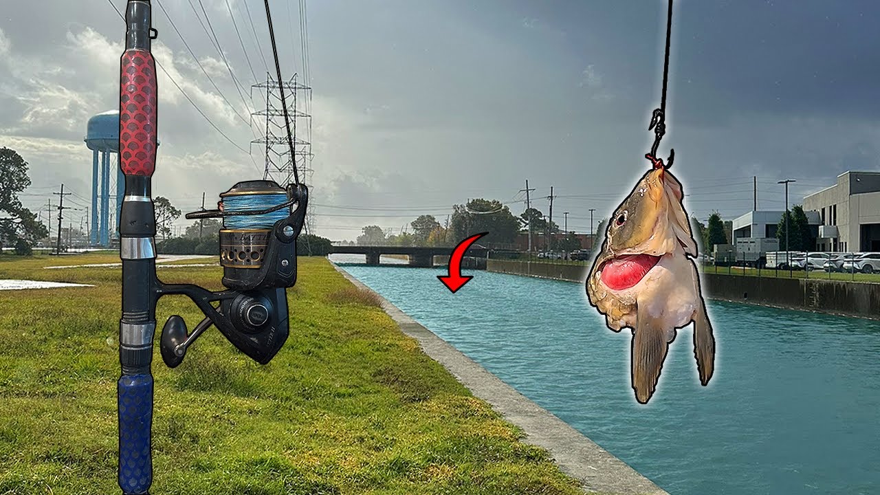 Using GIANT Bait For Urban Canal Monsters! (HUGE)