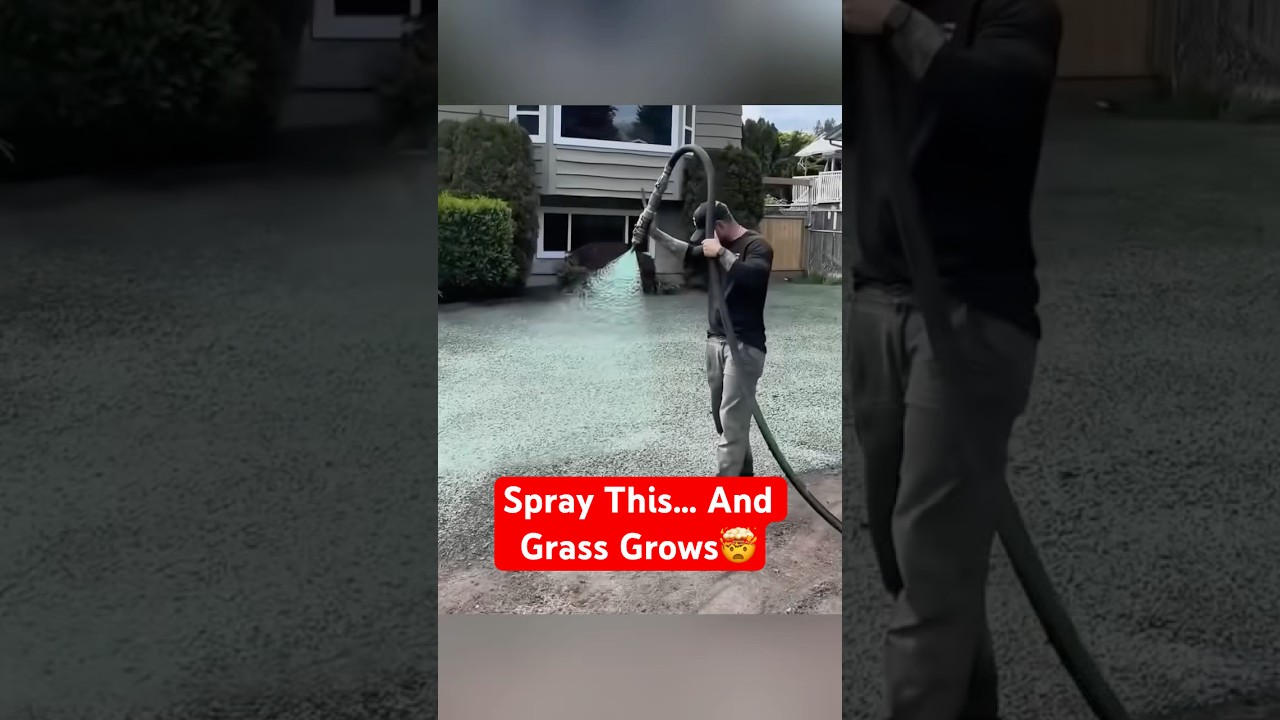 How They Grow Grass in Seconds