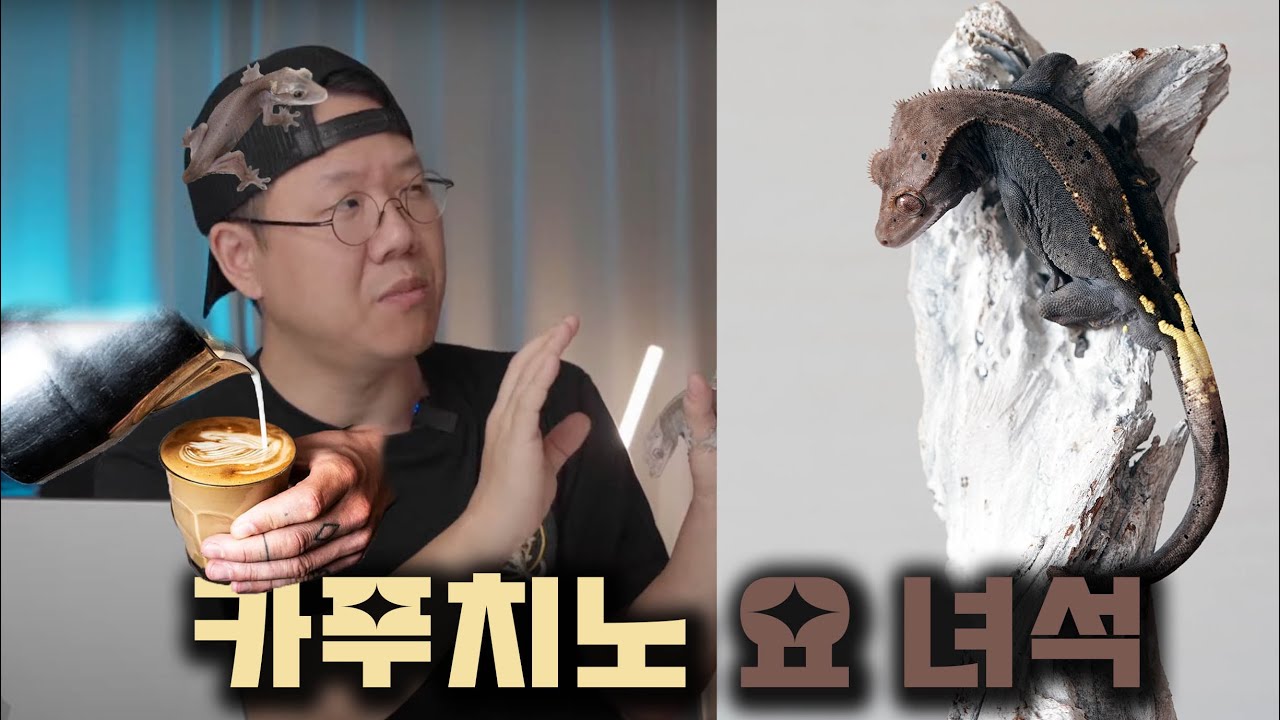 [크레 특집] 모프 구별법 | EP1. 카푸치노