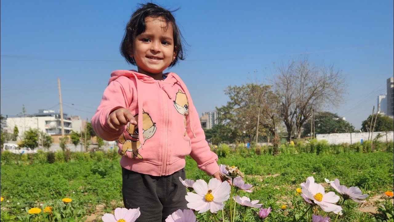 Harvesting fruits and Vegetables from farm