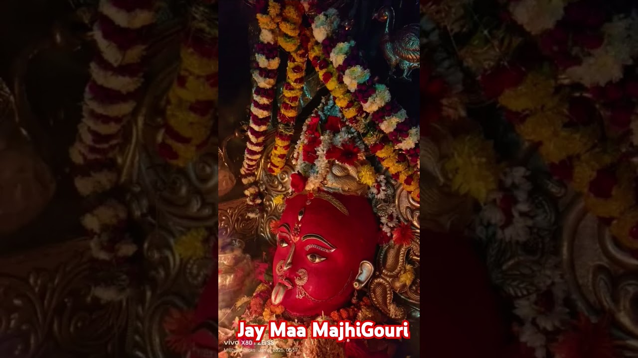 Jay Maa MajhiGouri.............. #newsong#rayagada #estadevi#lingarajnaikvlogs.