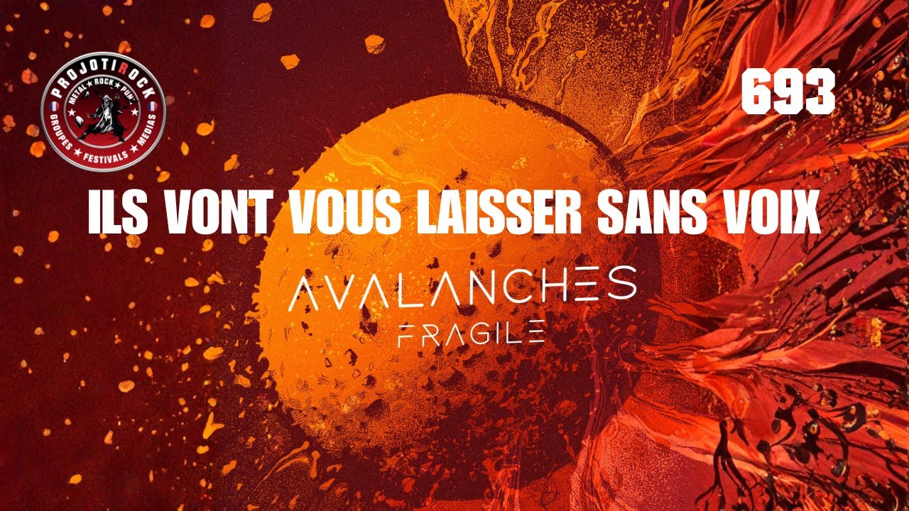 Avalanches, groupe nantais instrumentale qui envoi du lourd !