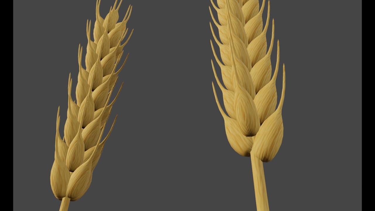 Wheat 3D Model - Trigo
