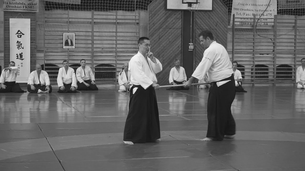 MKDE aikido summer camp 2017. with Kobayashi Hiroaki 7. dan Aikikai