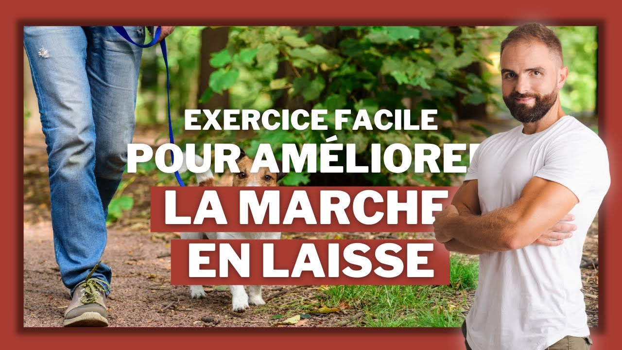 Exercice facile pour am&eacute;liorer la marche en laisse !