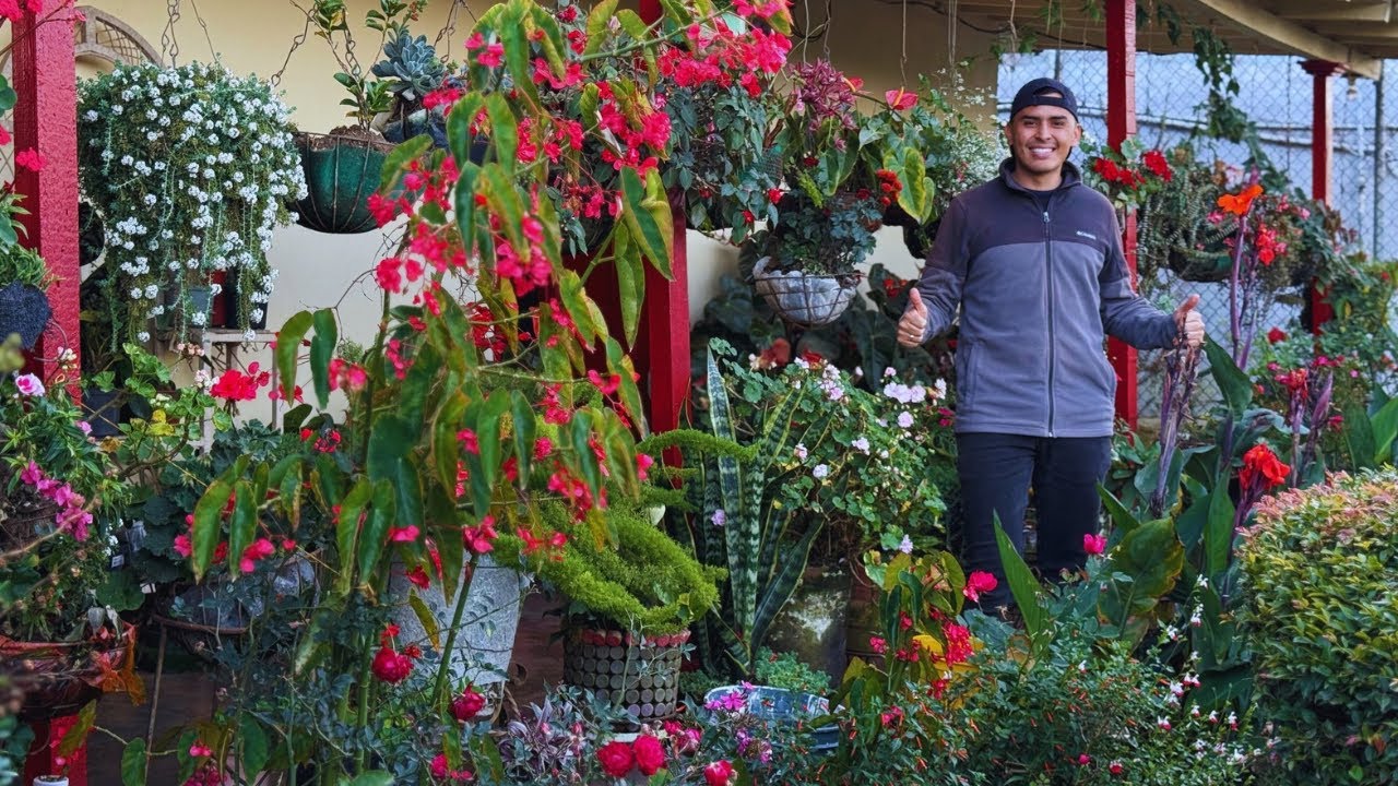 Conocí el verdadero JARDÍN JUNGLA del campo colombiano |AP