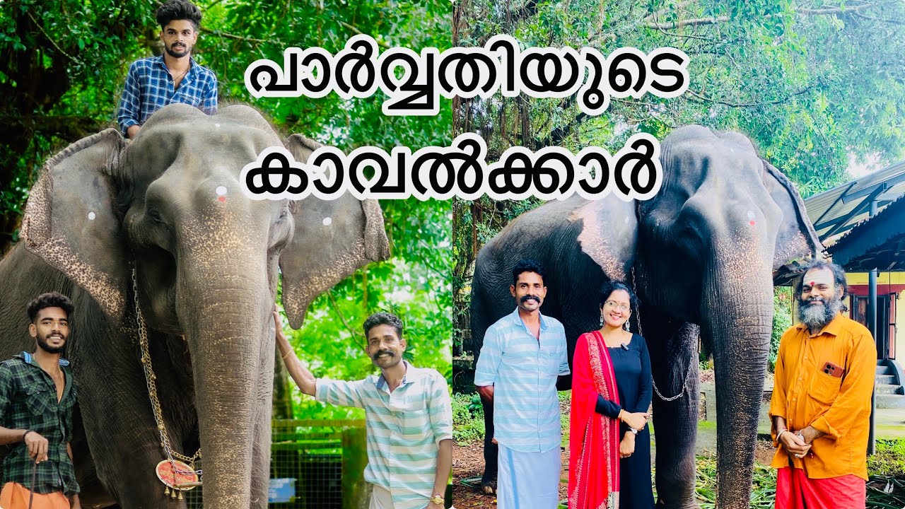 ഡോക്ടർമാർ വരെ കൈവിട്ട ശ്രീപാർവ്വതിയുടെ കാവൽക്കാർ|കാലടി ബിനു|sarisway