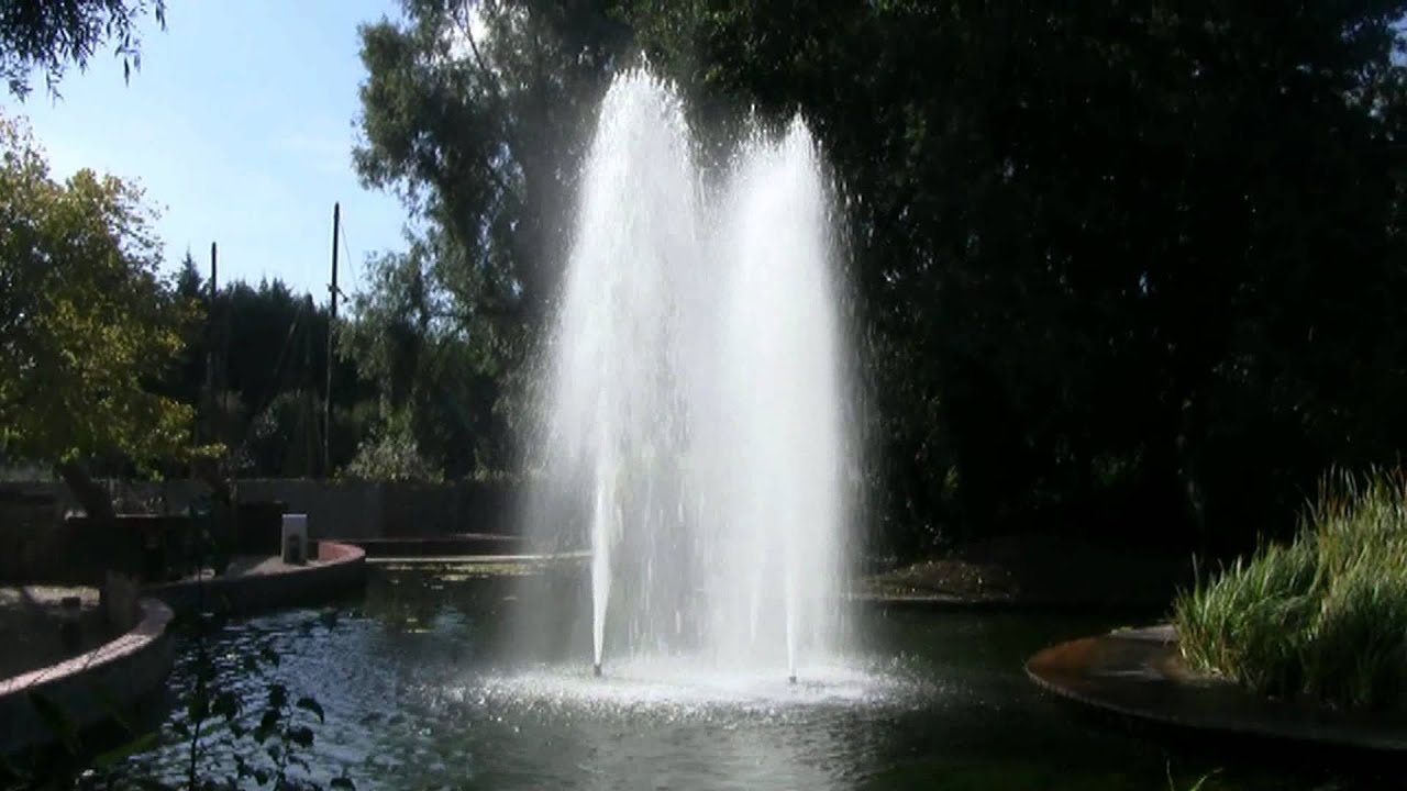 Waligator 2012 HD